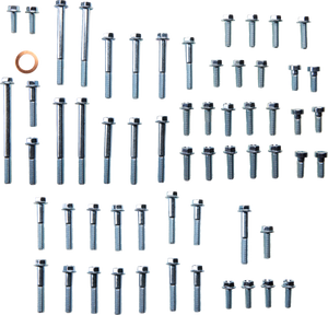 Engine Fastener Kit - KTM