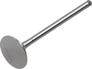 Exhaust Valve