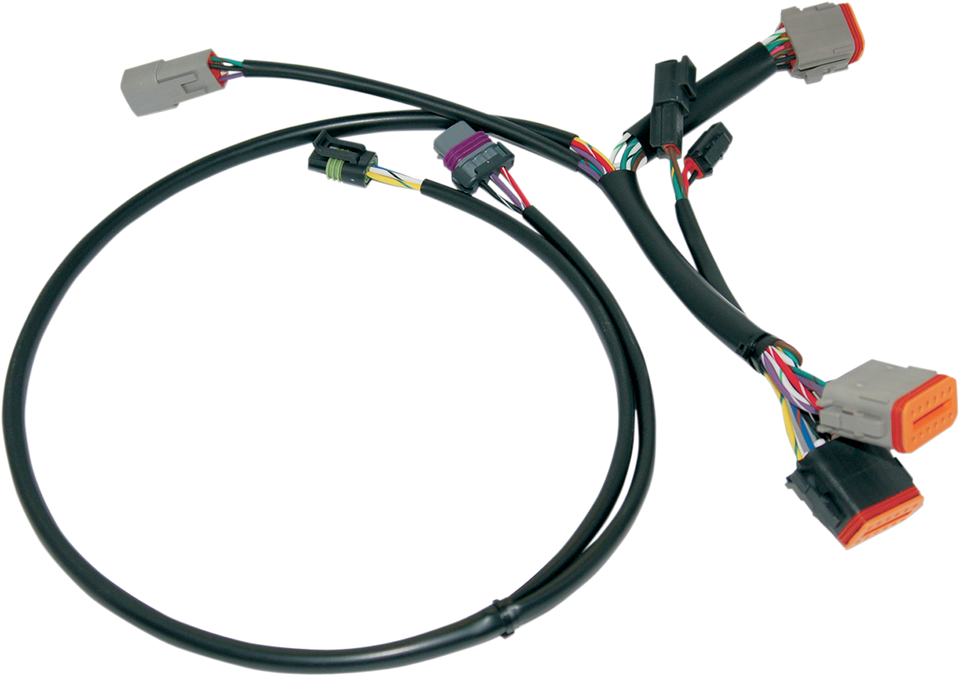 Ignition Wiring Harness - Harley Davidson