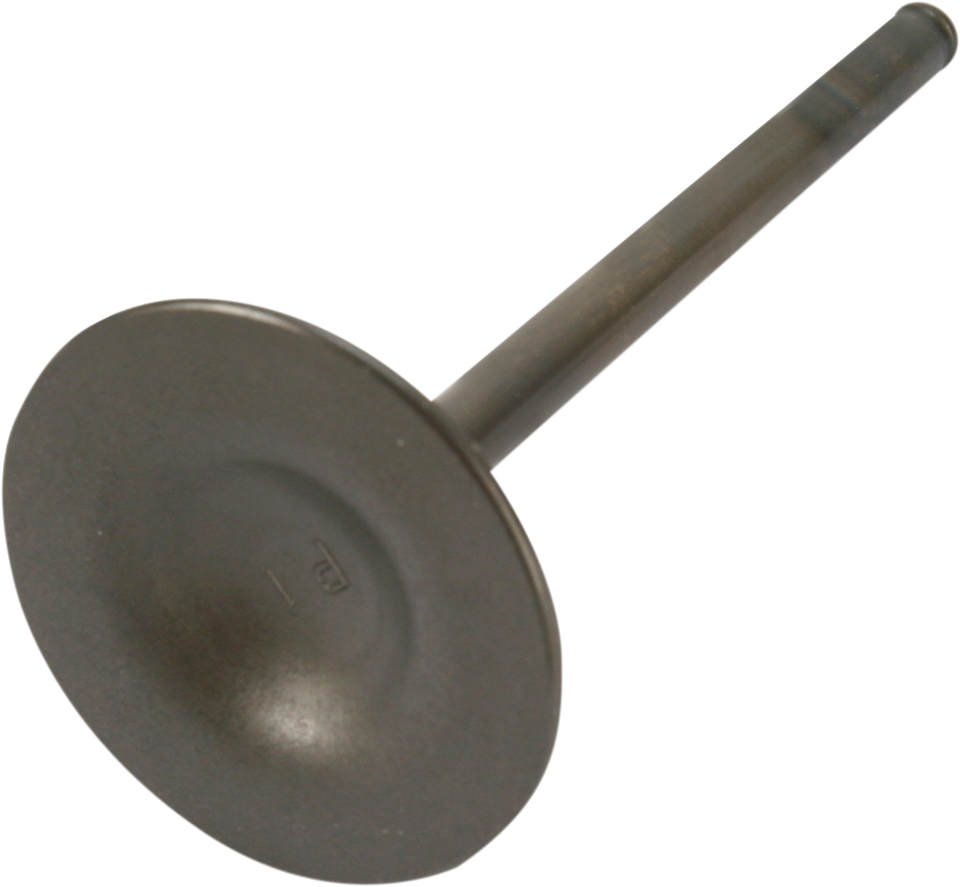 Intake Valve