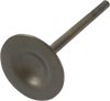 Intake Valve