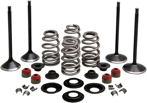 Complete Valve Kit - Evolution/1200