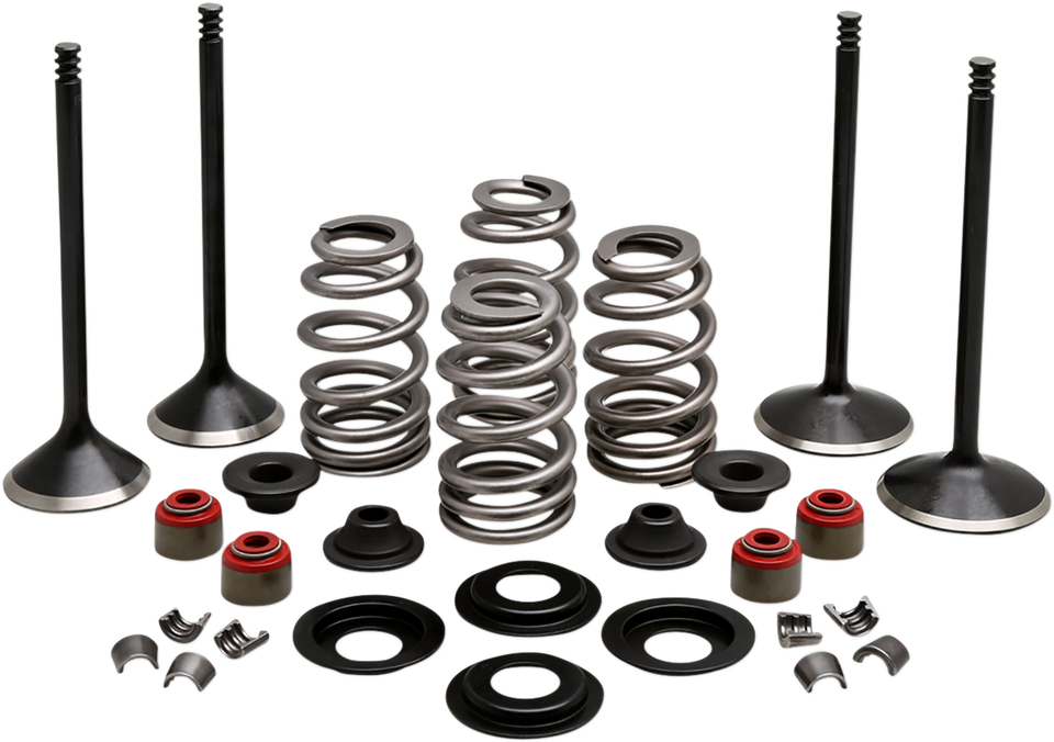 Complete Valve Kit - Twin Cam