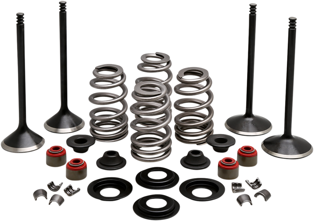 Complete Valve Kit - Twin Cam