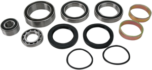Chain Case Bearing and Seal Kit
