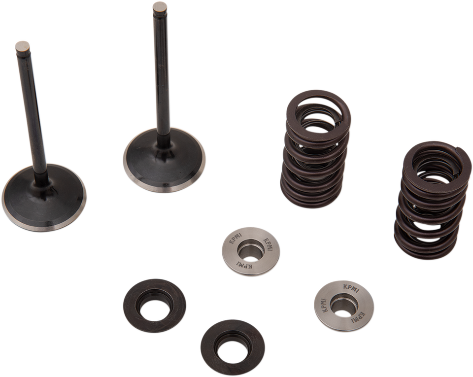 Intake Valve Kit