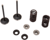 Intake Valve Kit