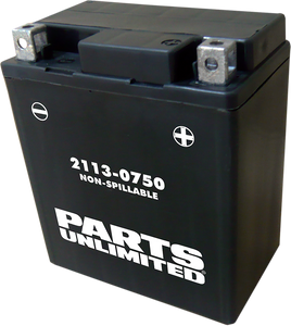 AGM Battery - YTX7L