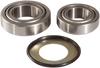 Steering Stem Bearing Kit