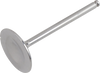 Intake Valve