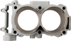 Cylinder Kit - Standard Bore - 93.00 mm - Polaris