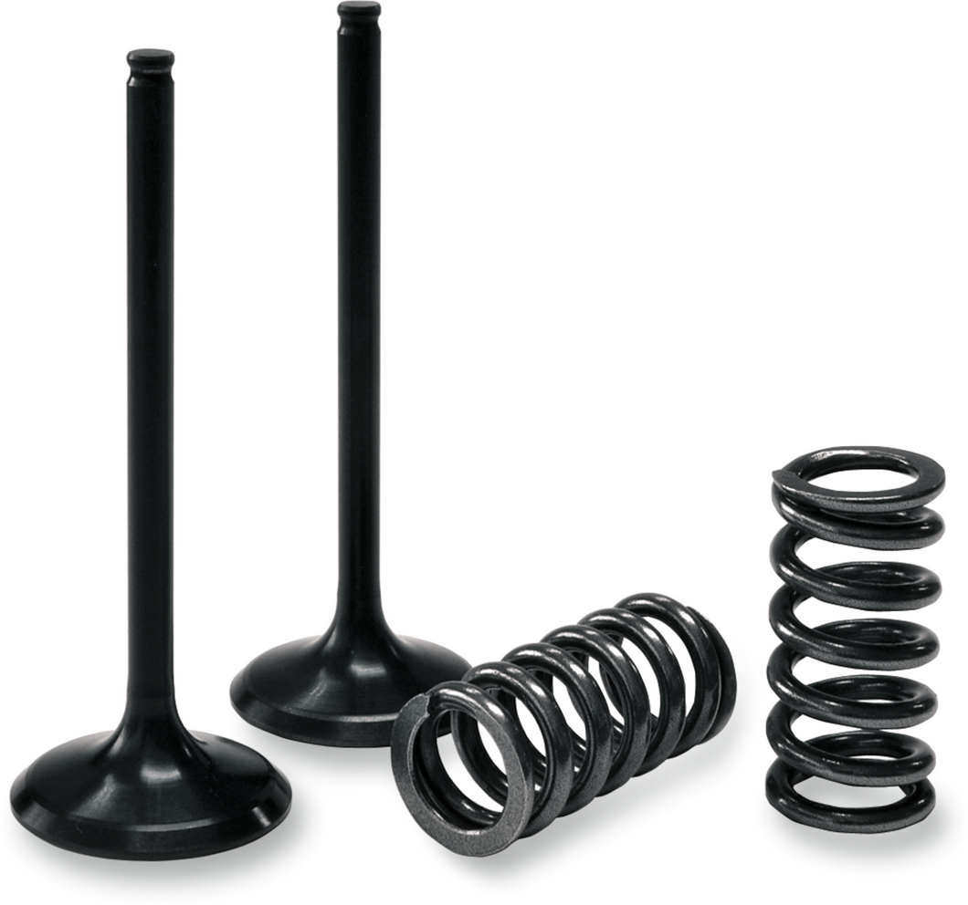 Valve and Spring Kit - Intake - Honda