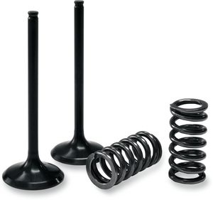 Valve and Spring Kit - Exhaust - KTM
