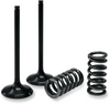 Valve and Spring Kit - Intake - Kawasaki