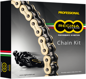 Chain and Sprocket Kit - Kawasaki - ZX-900 - 98-01