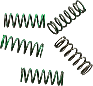 Clutch Spring Kit