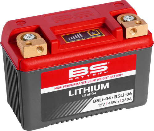 Lithium Battery - BSLi-04/06