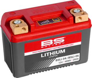 Lithium Battery - BSLi-04/06