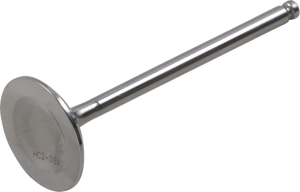 Intake Valve