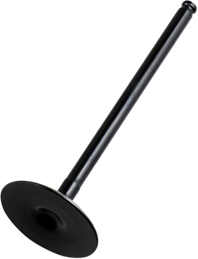 Intake Valve