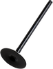 Intake Valve