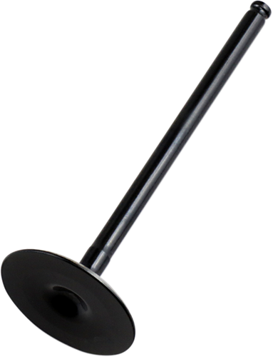 Intake Valve