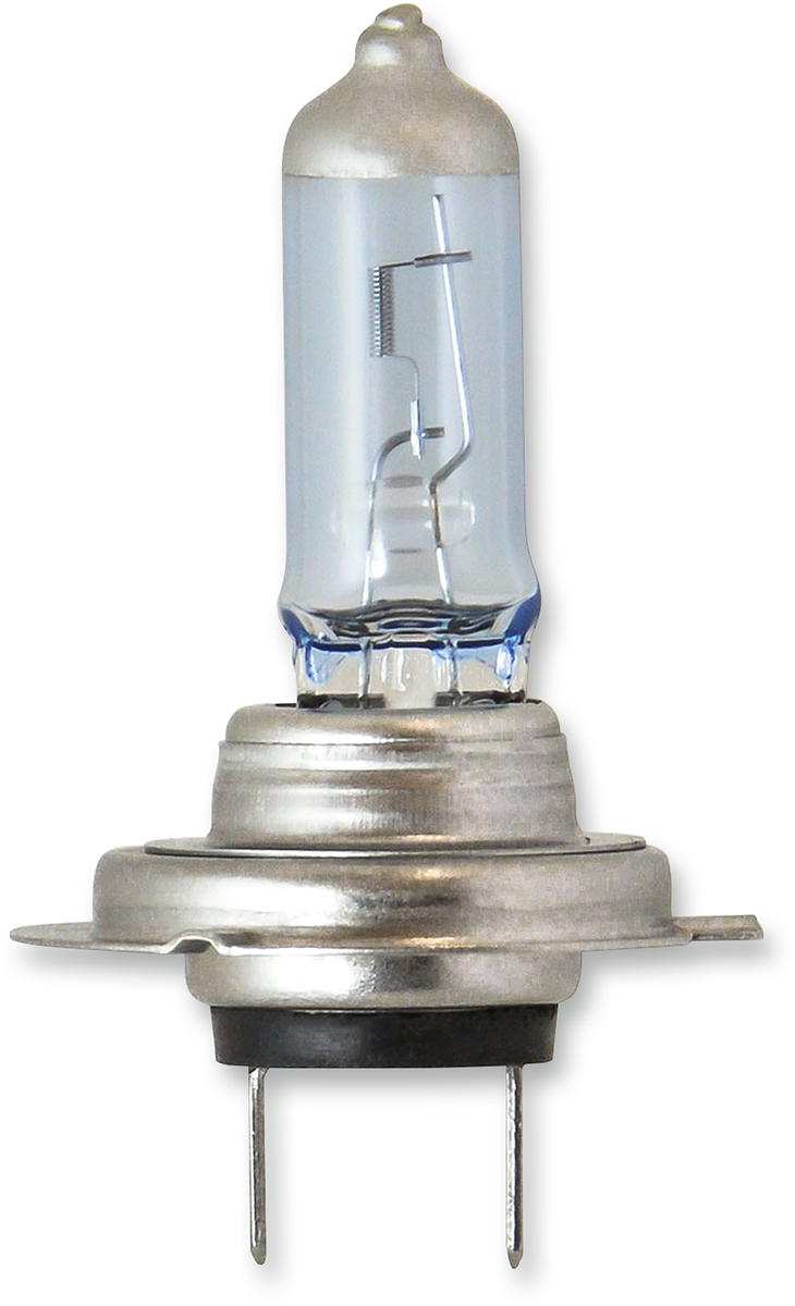 H7 Headlight Bulb - 55W