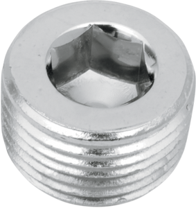 3/8" - NPT Plug