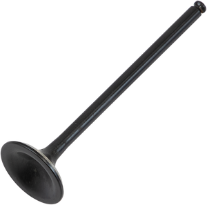 Exhaust Valve