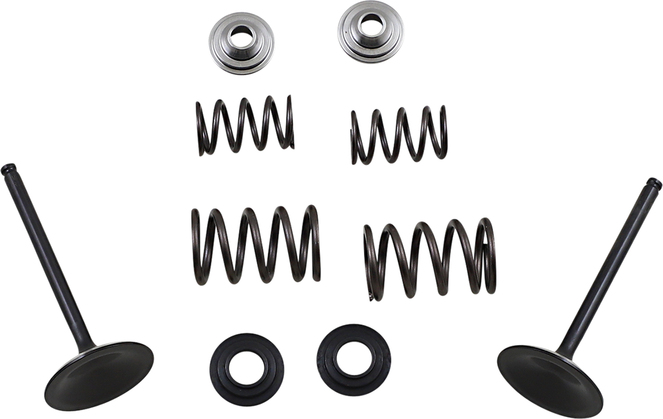 Intake Valve Kit