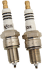 Platinum Spark Plug - 2-Pack