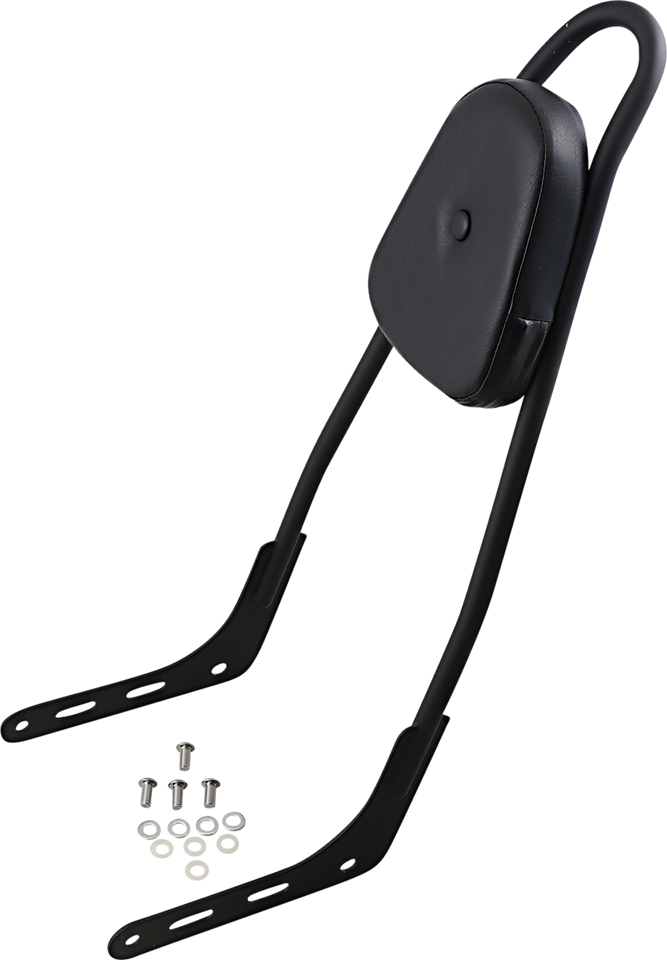 One-Piece Sissy Bar - Matte Black - Skull - With Pad - Lutzka's Garage