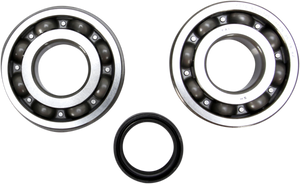 Crank Bearing and Seal Kit - Suzuki