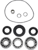 Differential Bearing/Seal Kit - Rear