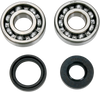 Crankcase Bearing and Seal Kit