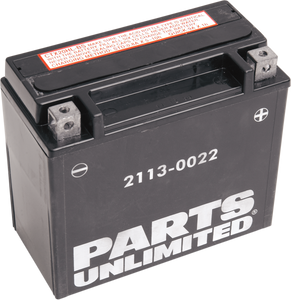 AGM Battery - YTX20HL-BS .948 L