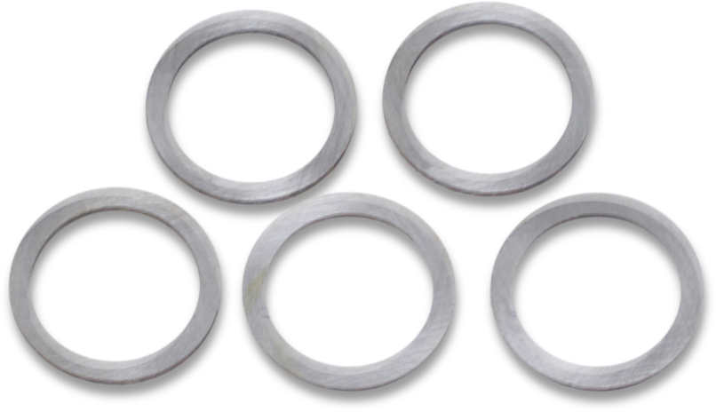 Cam Gear Shims - Big Twin