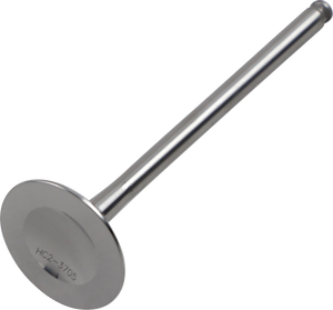 Exhaust Valve