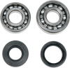 Crankcase Bearing and Seal Kit