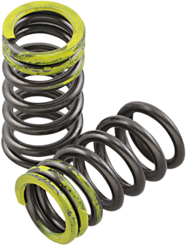 Valve Springs - Intake - Kawasaki | Suzuki