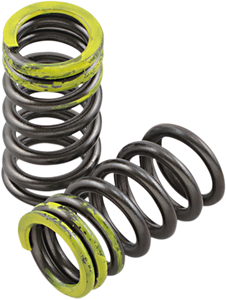 Valve Springs - Intake - Kawasaki | Suzuki