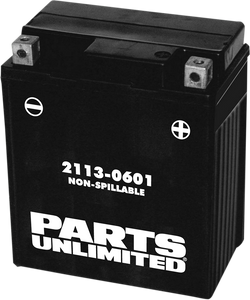 AGM Battery - YTZ8V