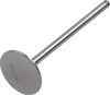 Intake Valve