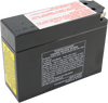 AGM Battery - YT4B-BS