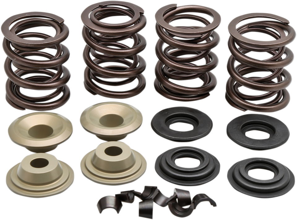 Valve Spring Kit - Big Twin