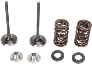 Intake Valve Kit