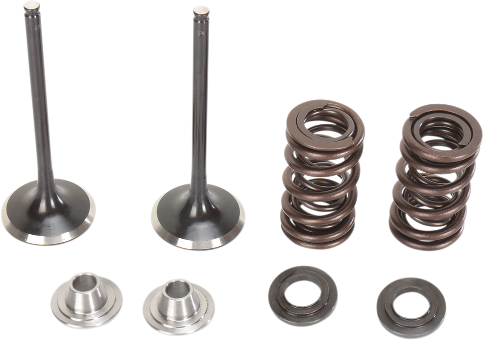 Intake Valve Kit