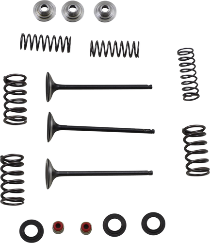 Intake Valve Kit