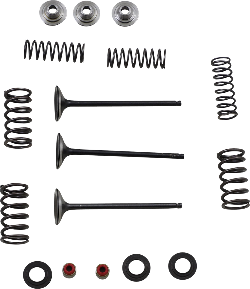 Intake Valve Kit