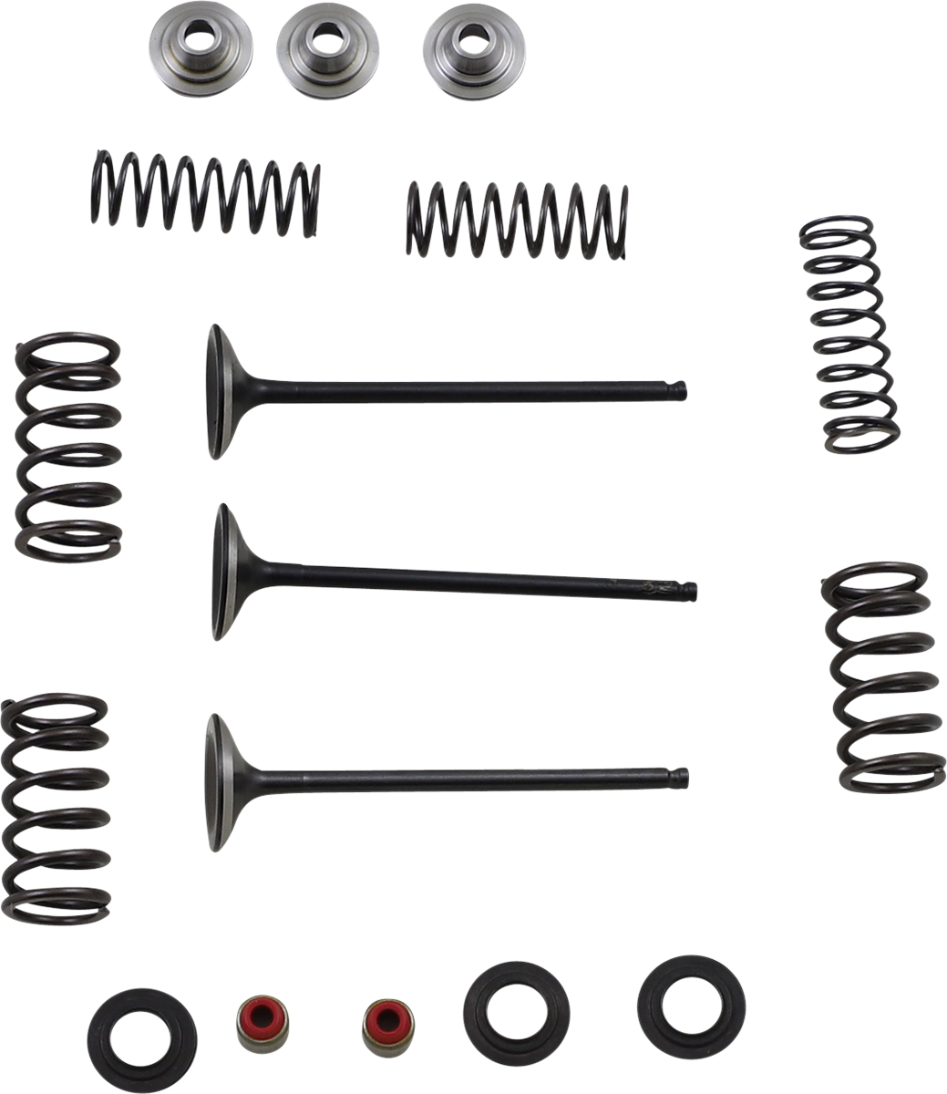 Intake Valve Kit